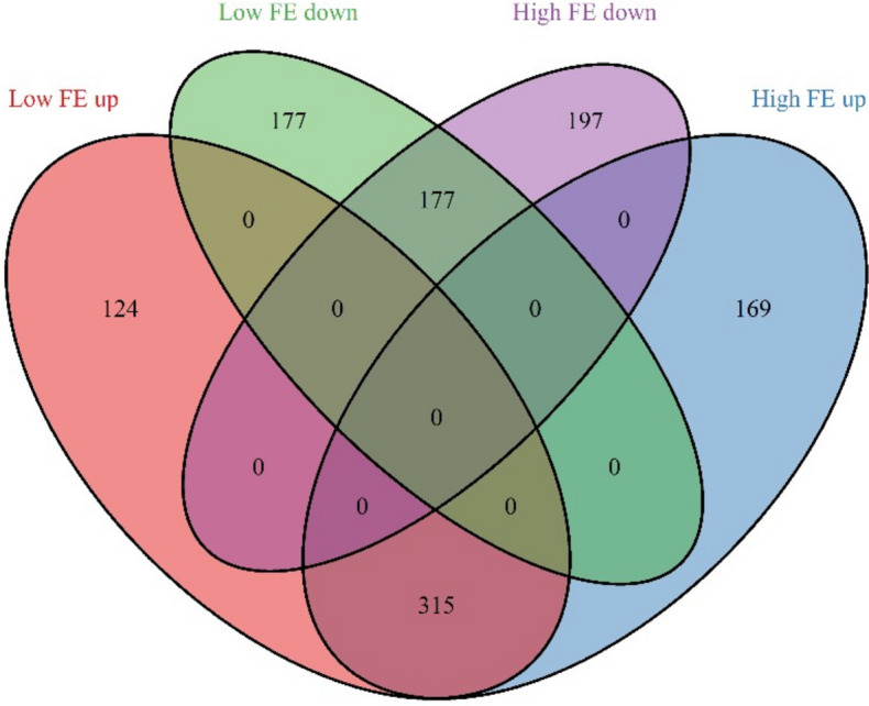 Fig. 4