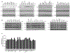 Extended Figure 2.