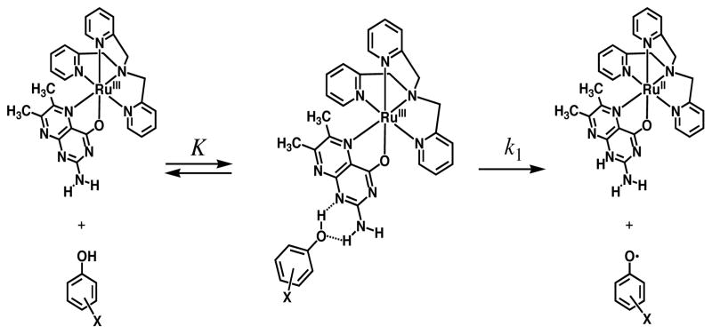 Scheme 4