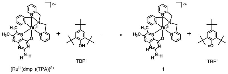 Scheme 3