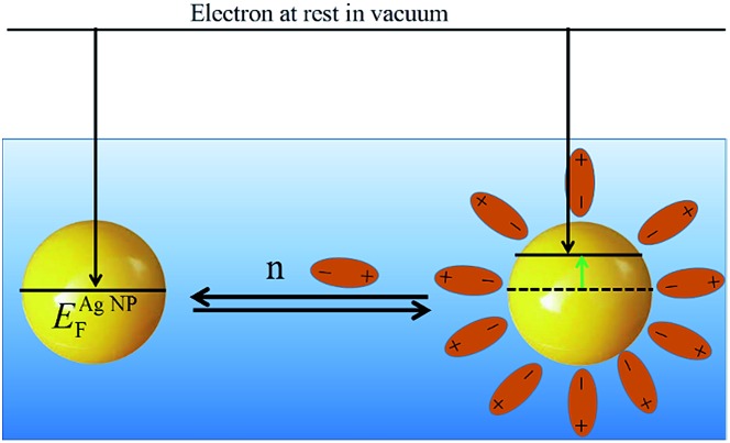 Scheme 5