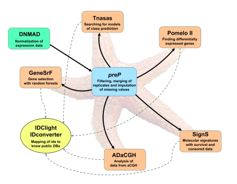 Figure 1.