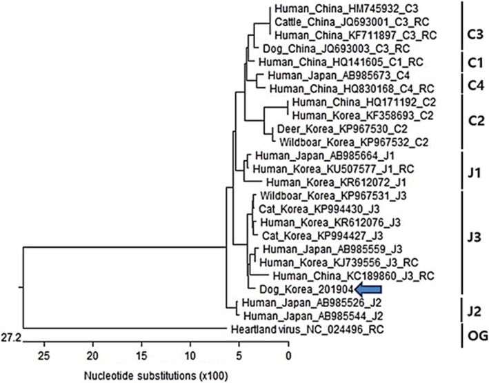 FIGURE 3