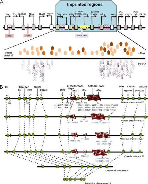 FIGURE 2.