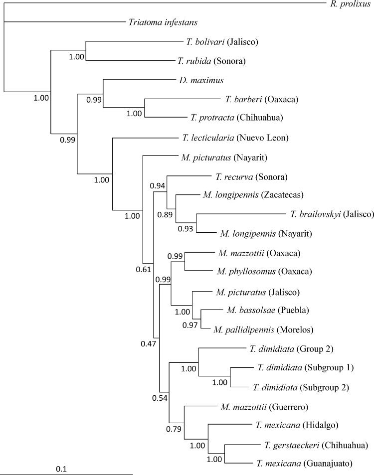 Figure 3.