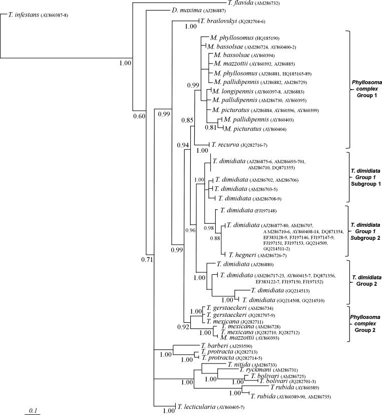 Figure 2.