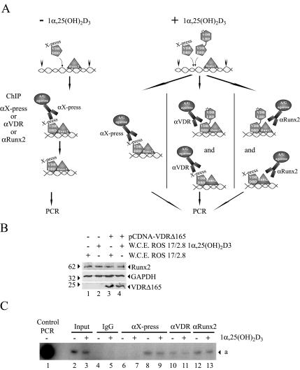 FIG. 13.