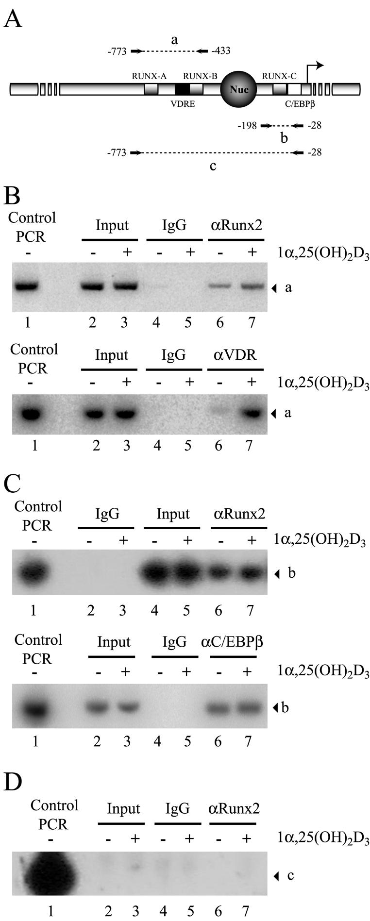 FIG. 12.