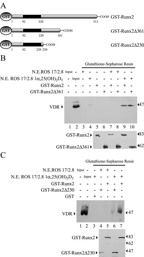 FIG. 11.