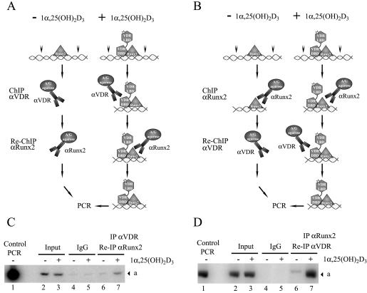 FIG. 14.