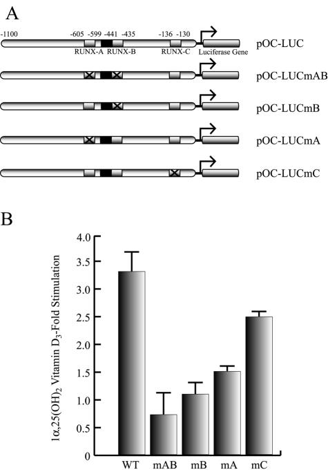 FIG. 1.