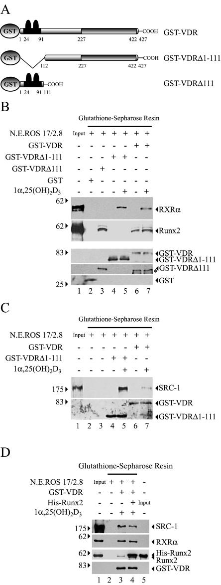 FIG. 8.