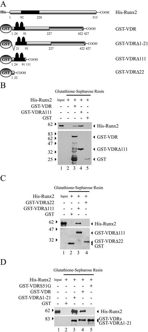 FIG. 7.