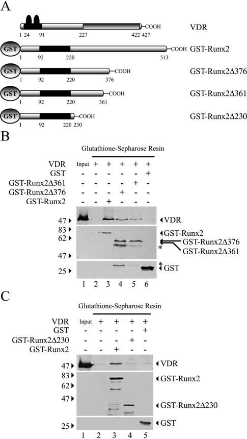 FIG. 10.