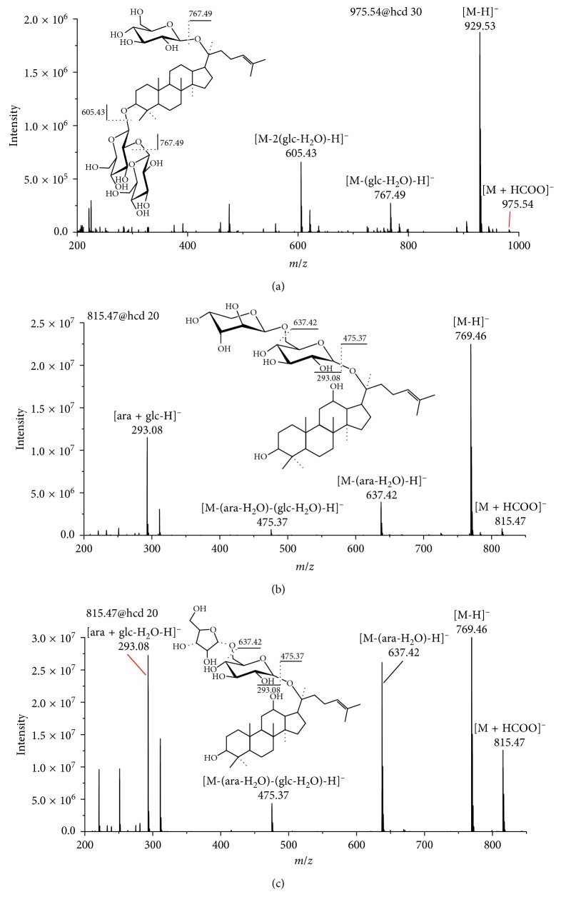 Figure 5