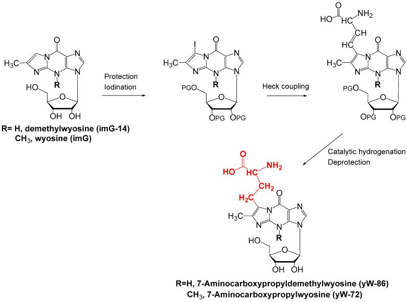 Scheme 6