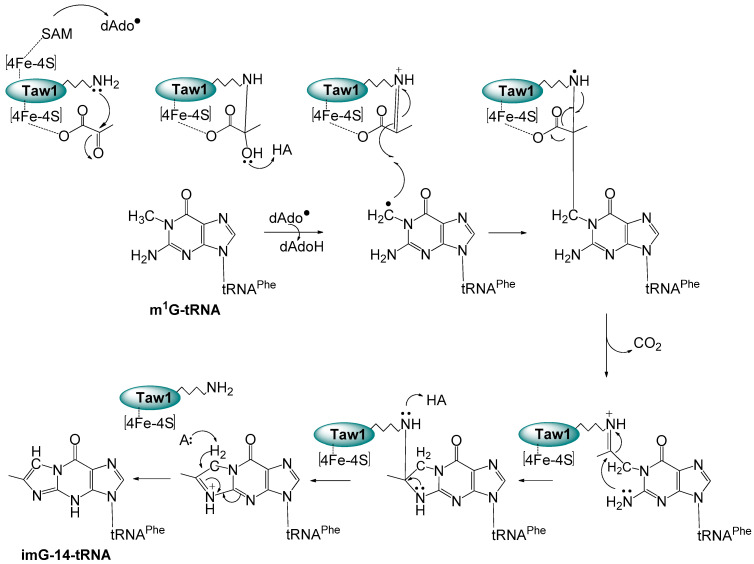 Scheme 2