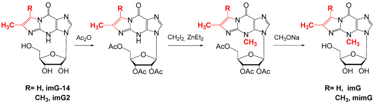 Scheme 5