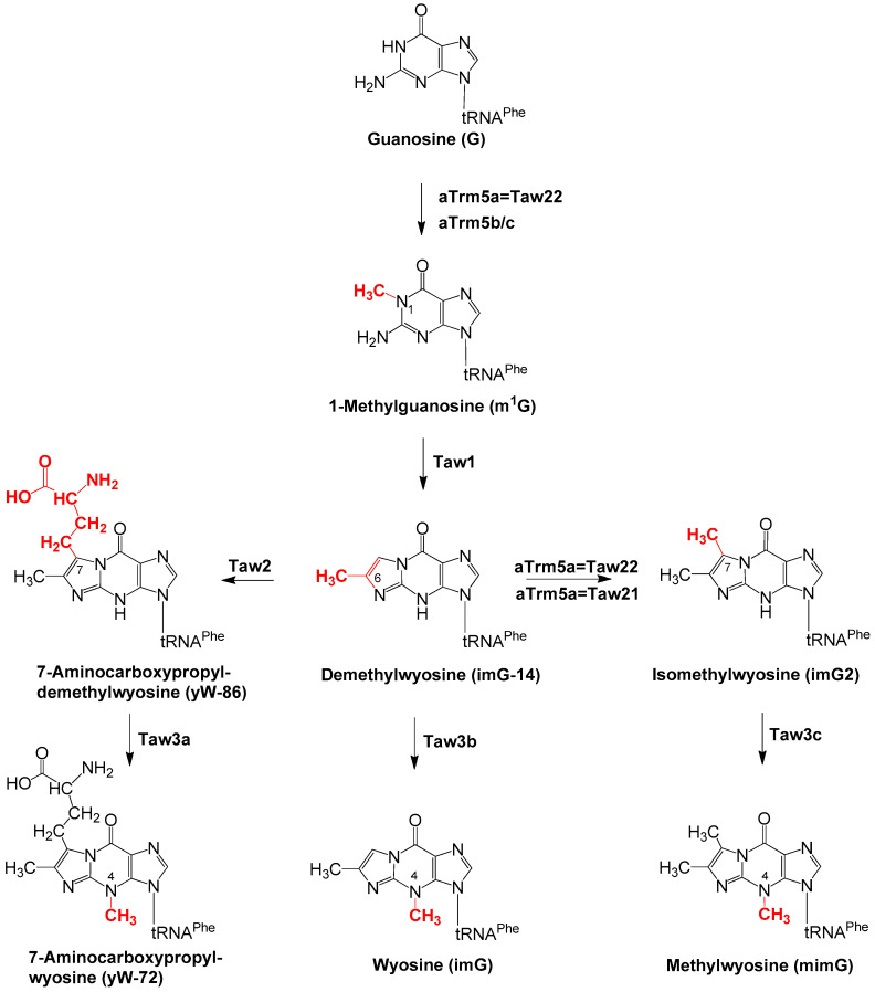 Scheme 1