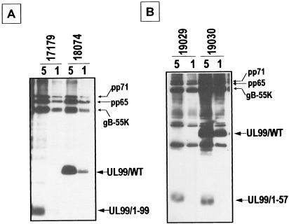 FIG. 10.