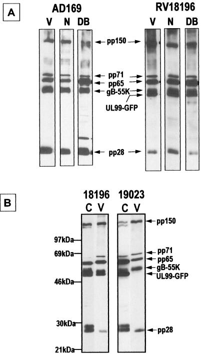 FIG. 5.