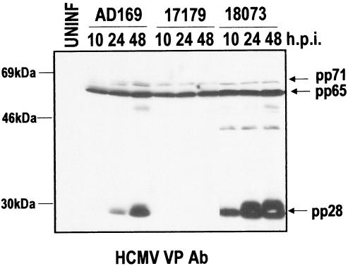 FIG. 11.