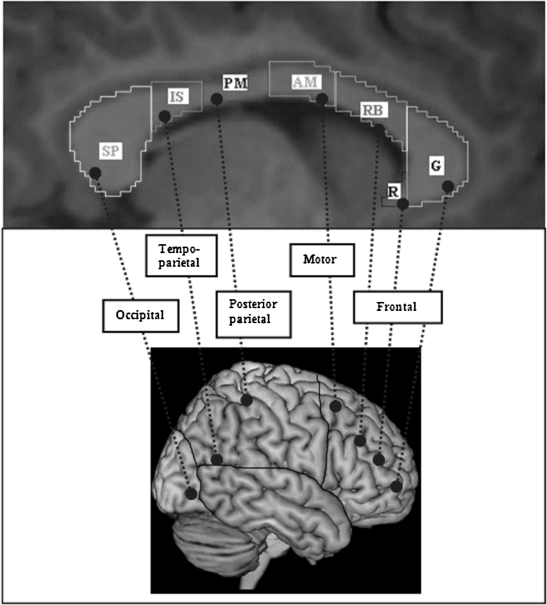 Fig. 1