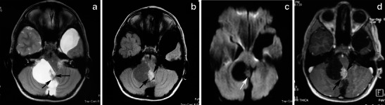 Fig. 5