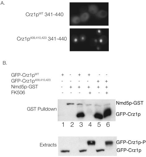 FIG. 4.