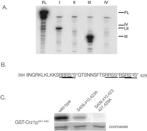 FIG. 2.