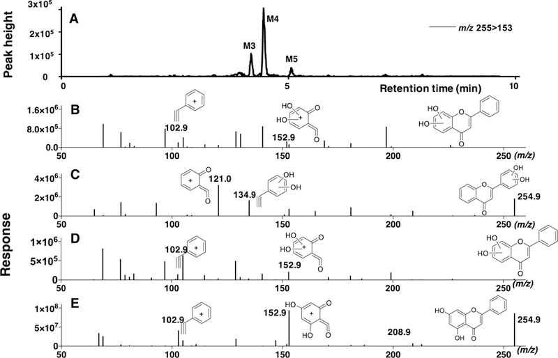 Figure 3.