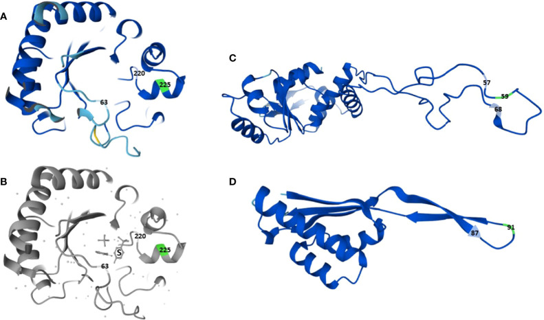 Figure 2