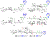 Figure 22.