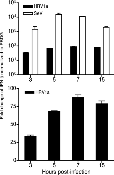 FIG. 1.