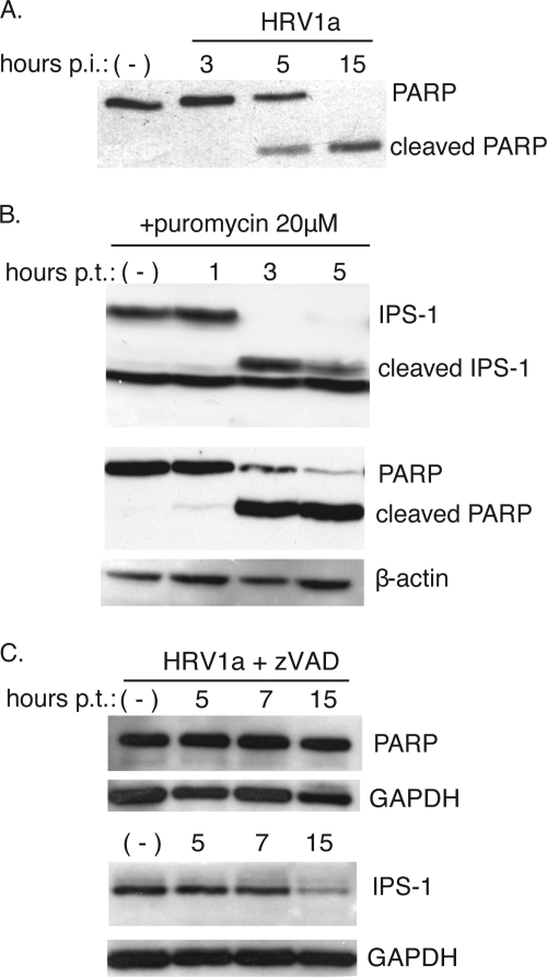 FIG. 9.