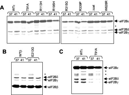 FIG. 5.