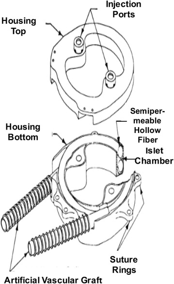 Fig. 5