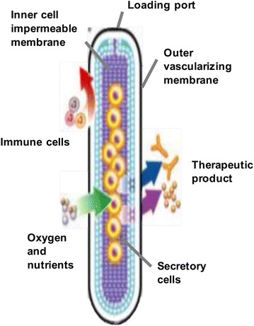 Fig. 2