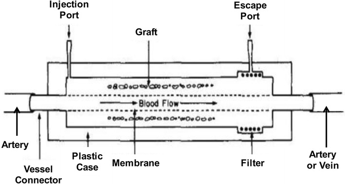 Fig. 4