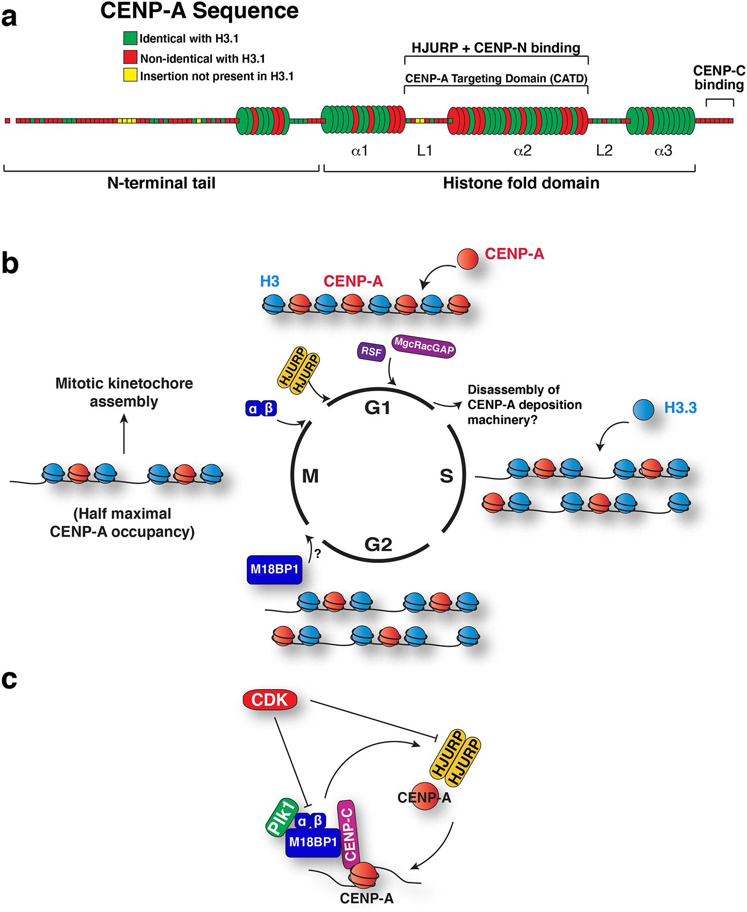 Figure 3.