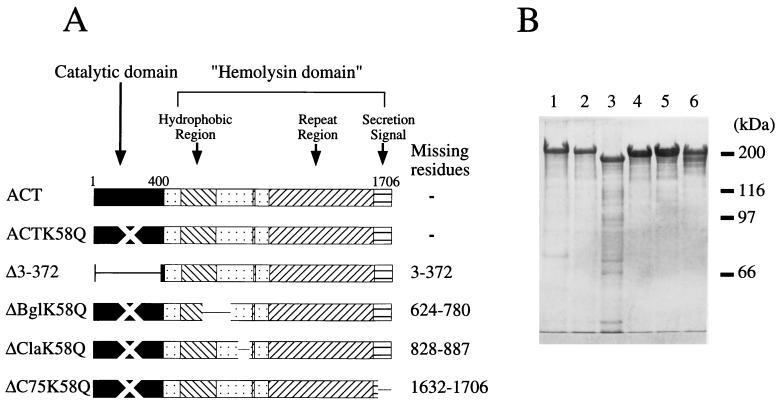 FIG. 1