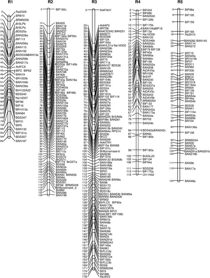 Figure 1.—