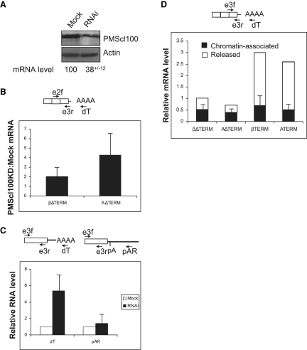 Figure 6