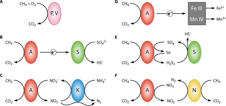 FIG 1