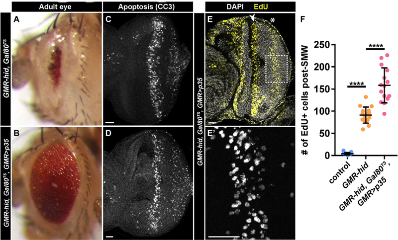 Fig. 3: