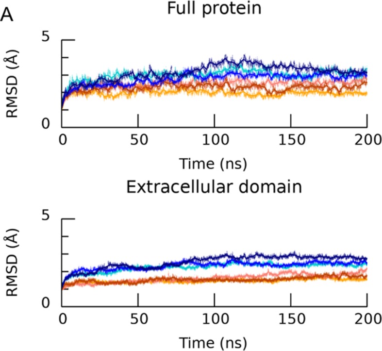 Figure 3—figure supplement 1.