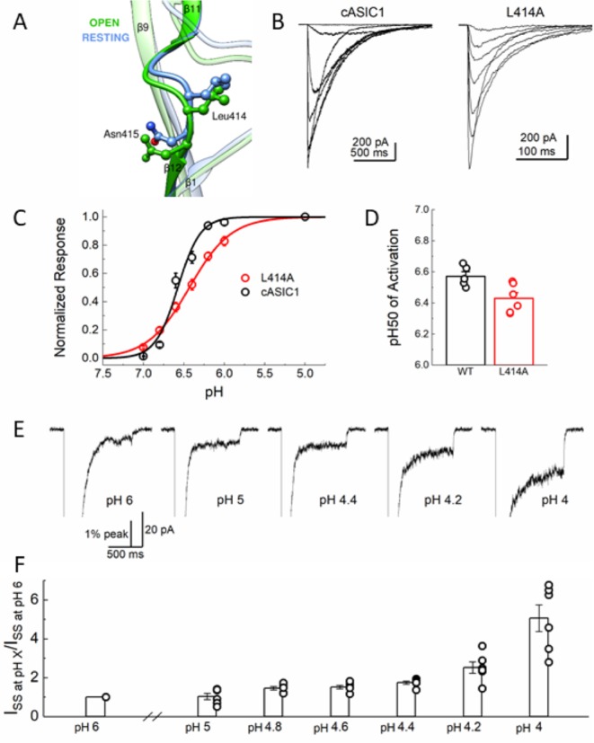 Figure 1—figure supplement 1.