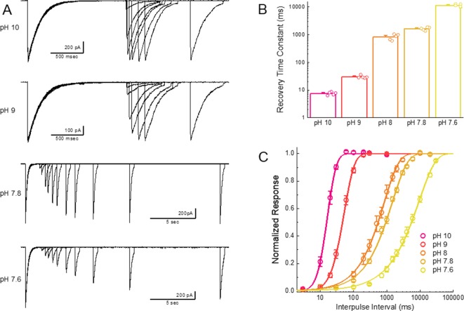 Figure 3—figure supplement 2.