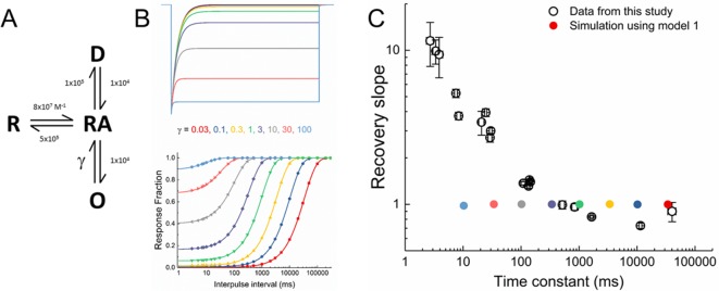 Figure 5—figure supplement 1.