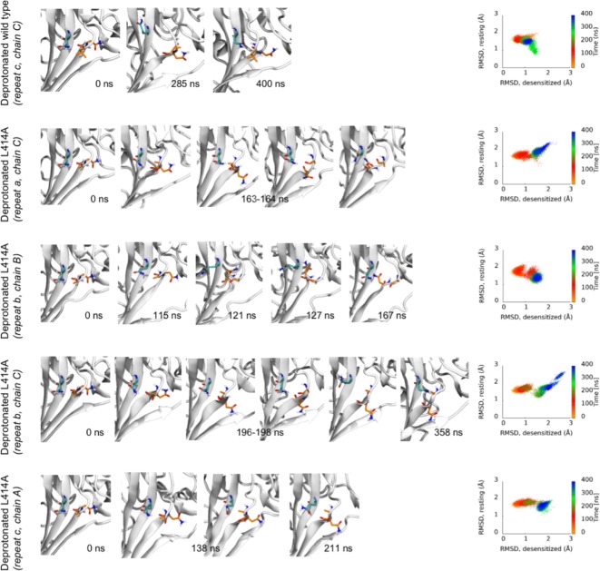 Figure 6—figure supplement 1.